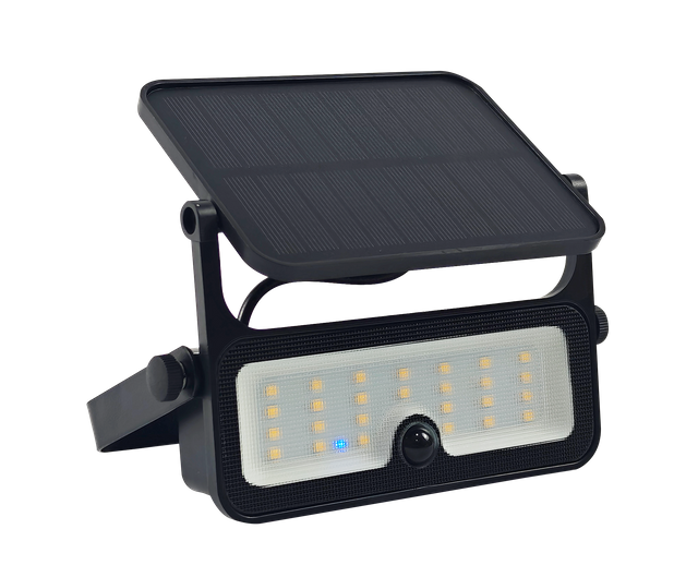 High quality solar lamp SL04
