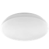 60W LED Modern Simple Ceiling Light, Creative Unique Design Atmosphere Lamp for Living Room & Bedroom