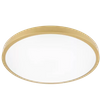 Full ring Gold/Silver/Black Decorative ring series 48W Bluetooth Led Large Smart Plastic Dip Switch Ultra Slim Ceiling Lamp Emc Living Room Modern