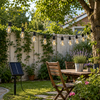 A19 LED Filament Outdoor String Lights | 7.5m Total Length Patio Decor Party Lights