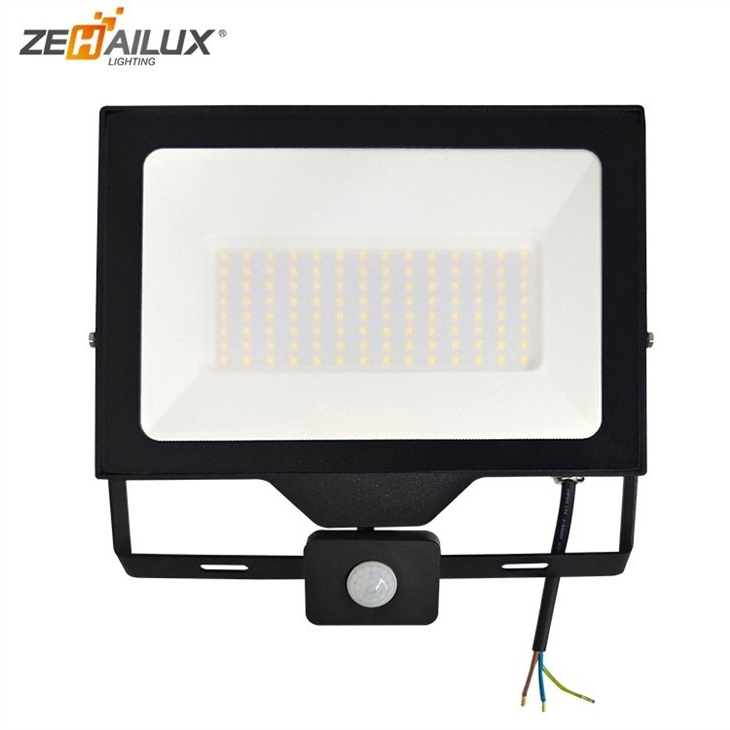 100W Floodlight With Pir