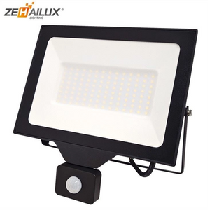 100W Floodlight With Pir