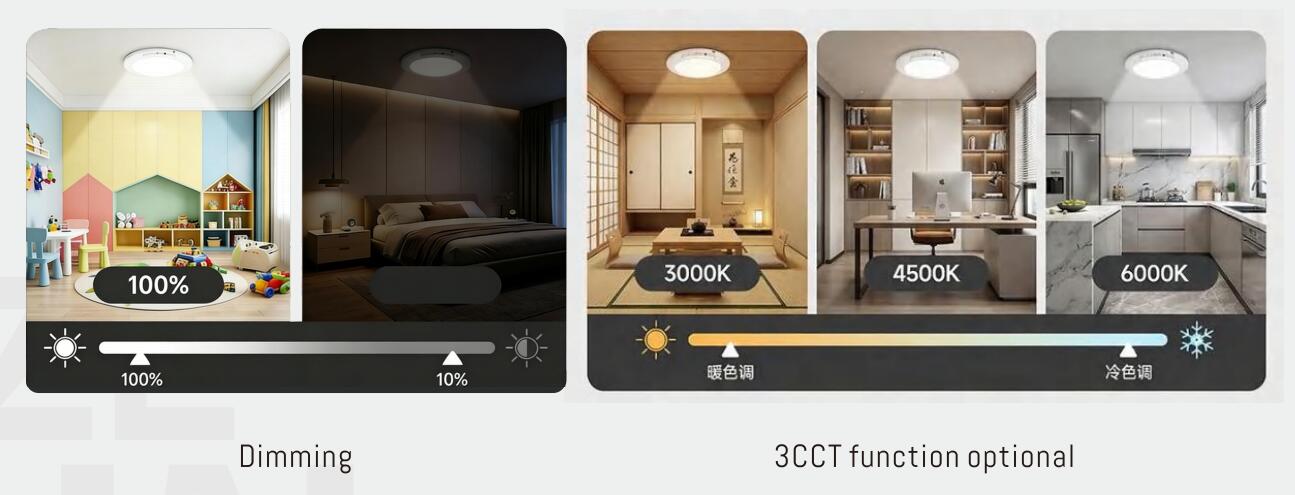 QQ截图20260817151411